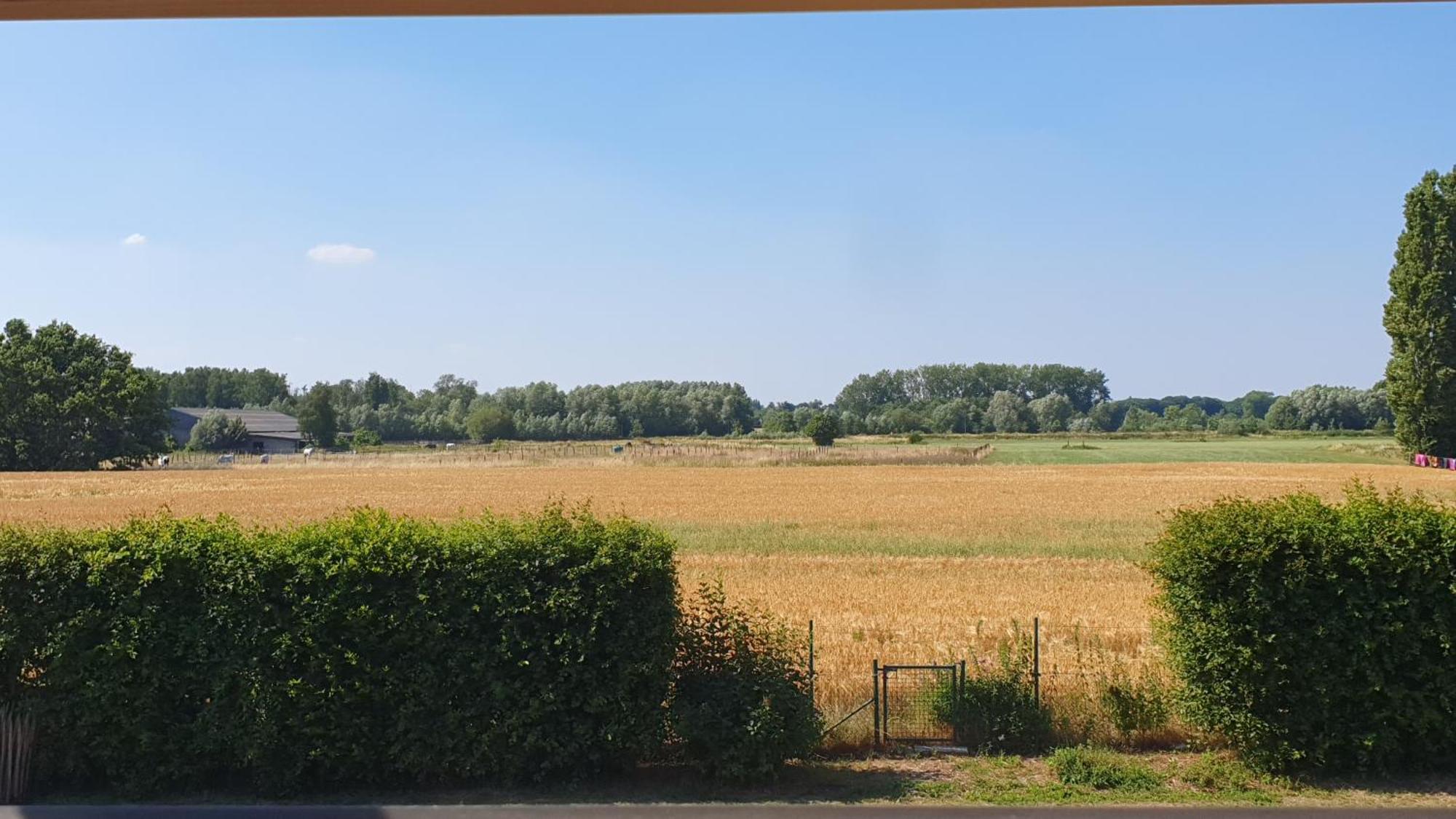 Villazzo Gent Kültér fotó